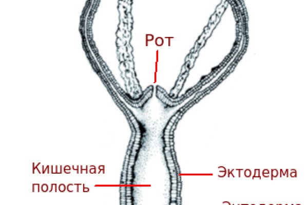 Kraken дарк магазин