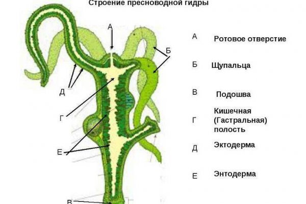 Как вернуть аккаунт на кракене