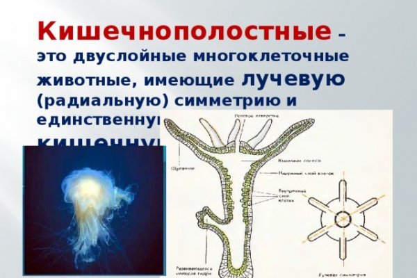 Кракен через тор браузер